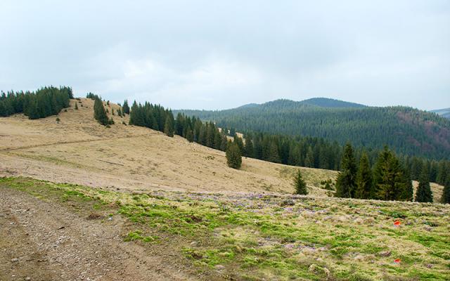 2017 Biharfüred - Égett-tető - Édenkert kilátó